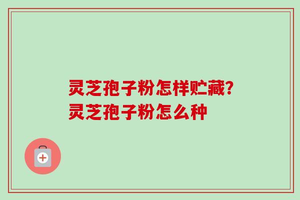 灵芝孢子粉怎样贮藏?灵芝孢子粉怎么种 灵芝孢子粉怎样贮藏?灵芝孢子粉怎么种