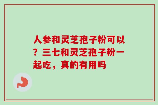 人参和灵芝孢子粉可以?三七和灵芝孢子粉一起吃,真的有用吗 人参和灵芝孢子粉可以?三七和灵芝孢子粉一起吃,真的有用吗