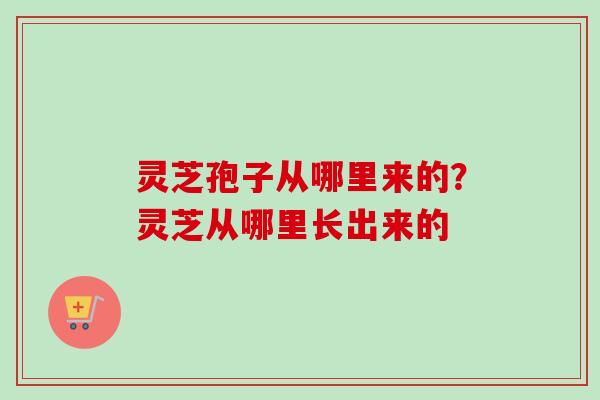 灵芝孢子从哪里来的?灵芝从哪里长出来的 灵芝孢子从哪里来的?灵芝从哪里长出来的