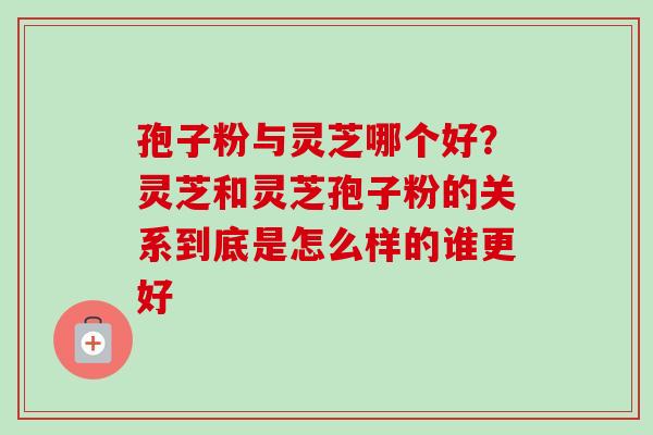 孢子粉与灵芝哪个好?灵芝和灵芝孢子粉的关系到底是怎么样的谁更好 孢子粉与灵芝哪个好?灵芝和灵芝孢子粉的关系到底是怎么样的谁更好