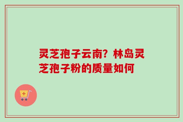灵芝孢子云南?林岛灵芝孢子粉的质量如何 灵芝孢子云南?林岛灵芝孢子粉的质量如何
