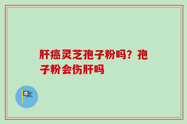 灵芝孢子粉吗?孢子粉会伤吗 灵芝孢子粉吗?孢子粉会伤吗