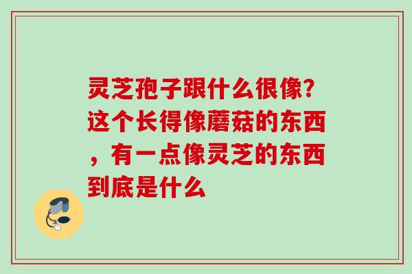 灵芝孢子跟什么很像？这个长得像蘑菇的东西，有一点像灵芝的东西到底是什么
