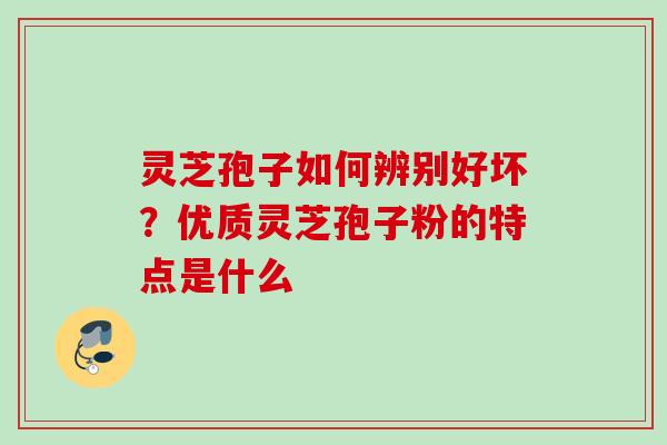 灵芝孢子如何辨别好坏？优质灵芝孢子粉的特点是什么