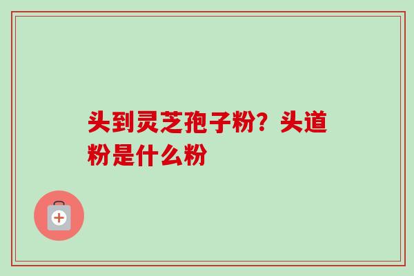 头到灵芝孢子粉?头道粉是什么粉 头到灵芝孢子粉?头道粉是什么粉