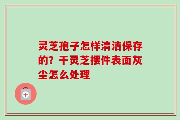 灵芝孢子怎样清洁保存的？干灵芝摆件表面灰尘怎么处理