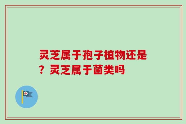 灵芝属于孢子植物还是？灵芝属于菌类吗