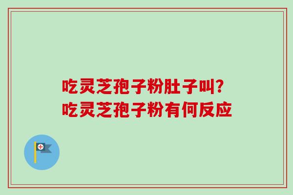 吃灵芝孢子粉肚子叫？吃灵芝孢子粉有何反应