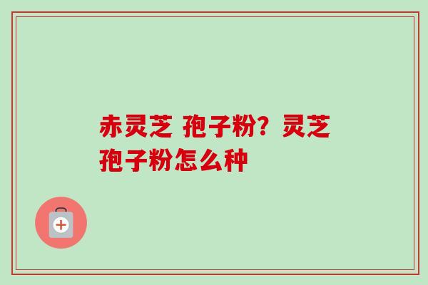 赤灵芝 孢子粉？灵芝孢子粉怎么种