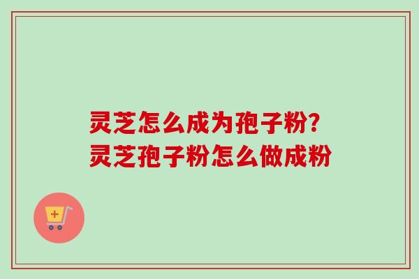 灵芝怎么成为孢子粉?灵芝孢子粉怎么做成粉 灵芝怎么成为孢子粉?灵芝孢子粉怎么做成粉