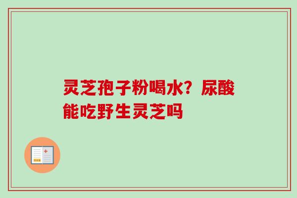 灵芝孢子粉喝水?尿酸能吃野生灵芝吗 灵芝孢子粉喝水?尿酸能吃野生灵芝吗