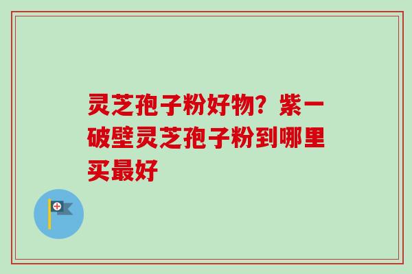 灵芝孢子粉好物?紫一破壁灵芝孢子粉到哪里买好 灵芝孢子粉好物?紫一破壁灵芝孢子粉到哪里买好