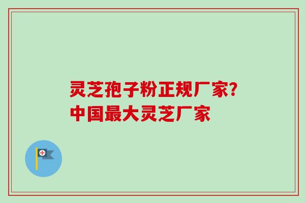 灵芝孢子粉正规厂家?中国大灵芝厂家 灵芝孢子粉正规厂家?中国大灵芝厂家