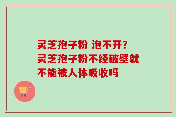 灵芝孢子粉 泡不开?灵芝孢子粉不经破壁就不能被人体吸收吗 灵芝孢子粉 泡不开?灵芝孢子粉不经破壁就不能被人体吸收吗