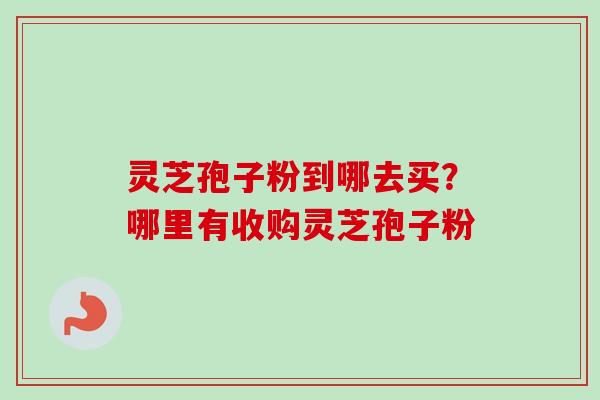 灵芝孢子粉到哪去买?哪里有收购灵芝孢子粉 灵芝孢子粉到哪去买?哪里有收购灵芝孢子粉
