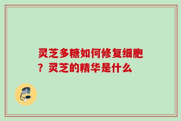 灵芝多糖如何修复细胞?灵芝的精华是什么 灵芝多糖如何修复细胞?灵芝的精华是什么