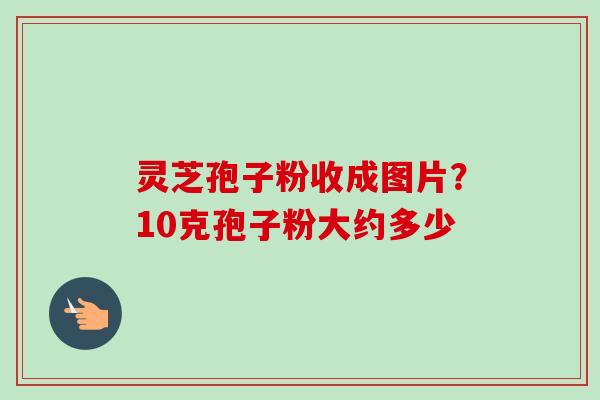 灵芝孢子粉收成图片?10克孢子粉大约多少 灵芝孢子粉收成图片?10克孢子粉大约多少