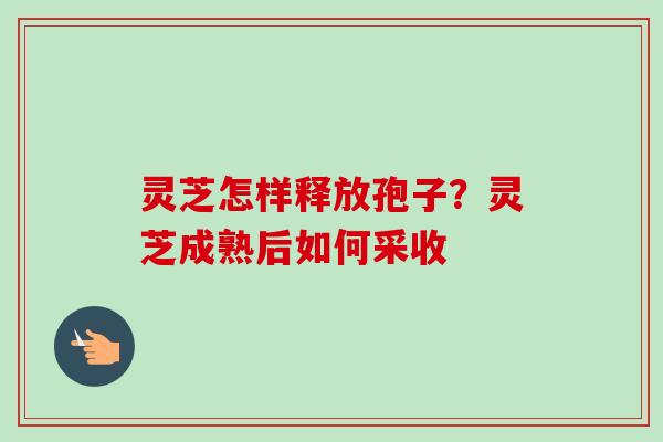 灵芝怎样释放孢子?灵芝成熟后如何采收 灵芝怎样释放孢子?灵芝成熟后如何采收