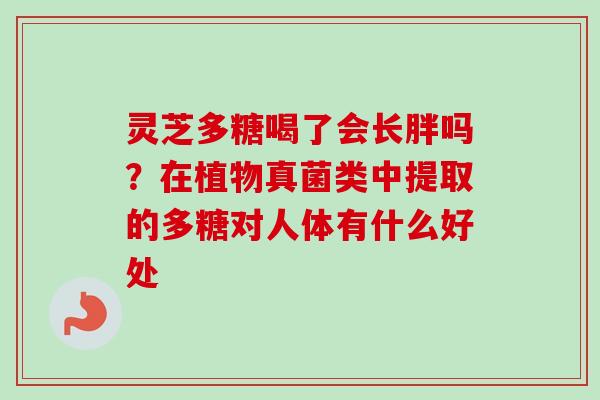 灵芝多糖喝了会长胖吗?在植物真菌类中提取的多糖对人体有什么好处 灵芝多糖喝了会长胖吗?在植物真菌类中提取的多糖对人体有什么好处