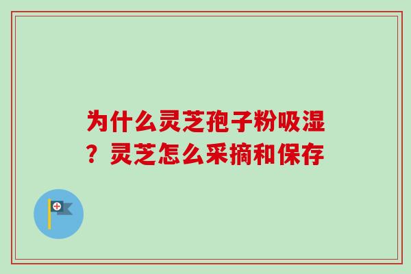 为什么灵芝孢子粉吸湿?灵芝怎么采摘和保存 为什么灵芝孢子粉吸湿?灵芝怎么采摘和保存