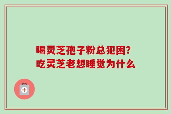 喝灵芝孢子粉总犯困？吃灵芝老想睡觉为什么