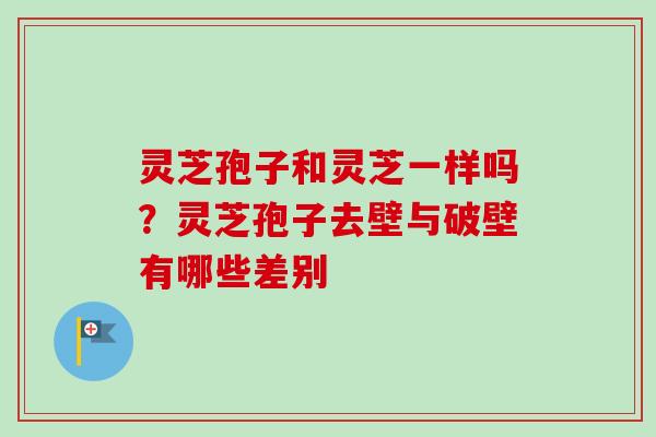 灵芝孢子和灵芝一样吗?灵芝孢子去壁与破壁有哪些差别 灵芝孢子和灵芝一样吗?灵芝孢子去壁与破壁有哪些差别