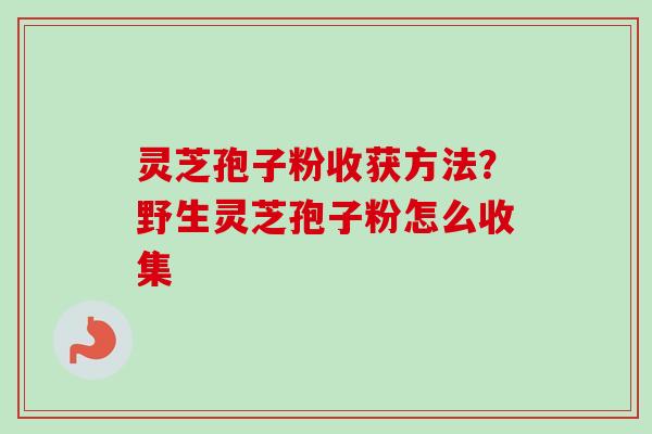 灵芝孢子粉收获方法?野生灵芝孢子粉怎么收集 灵芝孢子粉收获方法?野生灵芝孢子粉怎么收集