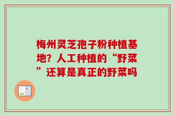 梅州灵芝孢子粉种植基地?人工种植的“野菜”还算是真正的野菜吗 梅州灵芝孢子粉种植基地?人工种植的“野菜”还算是真正的野菜吗