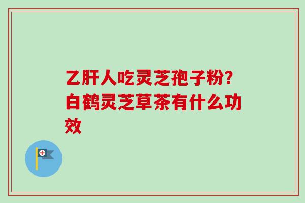 人吃灵芝孢子粉?白鹤灵芝草茶有什么功效 人吃灵芝孢子粉?白鹤灵芝草茶有什么功效