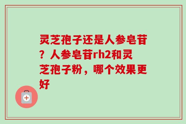 灵芝孢子还是人参皂苷?人参皂苷rh2和灵芝孢子粉,哪个效果更好 灵芝孢子还是人参皂苷?人参皂苷rh2和灵芝孢子粉,哪个效果更好