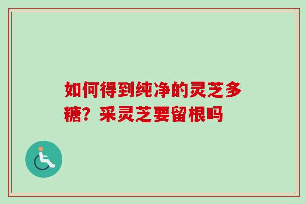 如何得到纯净的灵芝多糖?采灵芝要留根吗 如何得到纯净的灵芝多糖?采灵芝要留根吗
