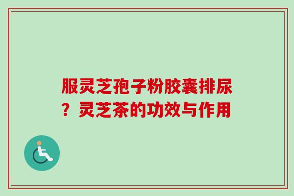 服灵芝孢子粉胶囊排尿？灵芝茶的功效与作用