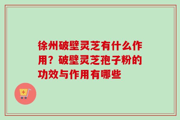 徐州破壁灵芝有什么作用?破壁灵芝孢子粉的功效与作用有哪些 徐州破壁灵芝有什么作用?破壁灵芝孢子粉的功效与作用有哪些