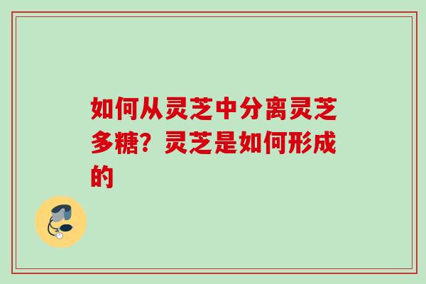 如何从灵芝中分离灵芝多糖？灵芝是如何形成的