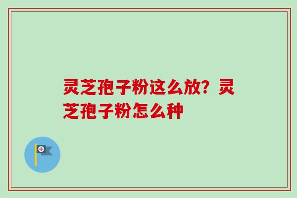 灵芝孢子粉这么放？灵芝孢子粉怎么种