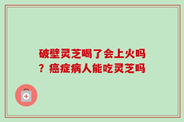 破壁灵芝喝了会上火吗?症人能吃灵芝吗 破壁灵芝喝了会上火吗?症人能吃灵芝吗