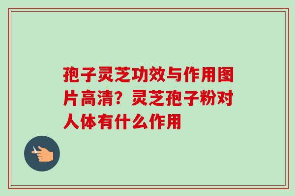 孢子灵芝功效与作用图片高清?灵芝孢子粉对人体有什么作用 孢子灵芝功效与作用图片高清?灵芝孢子粉对人体有什么作用