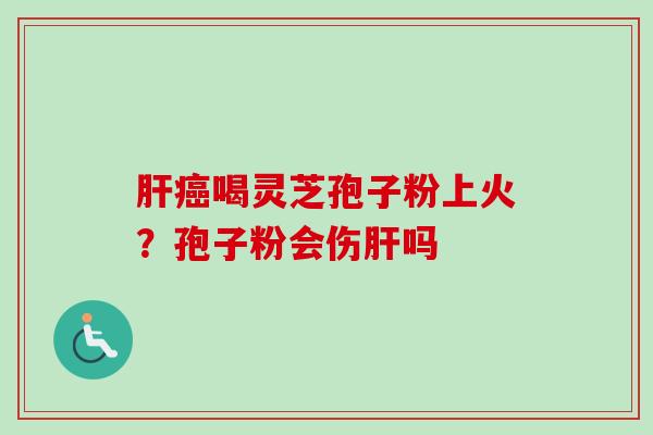 喝灵芝孢子粉上火?孢子粉会伤吗 喝灵芝孢子粉上火?孢子粉会伤吗