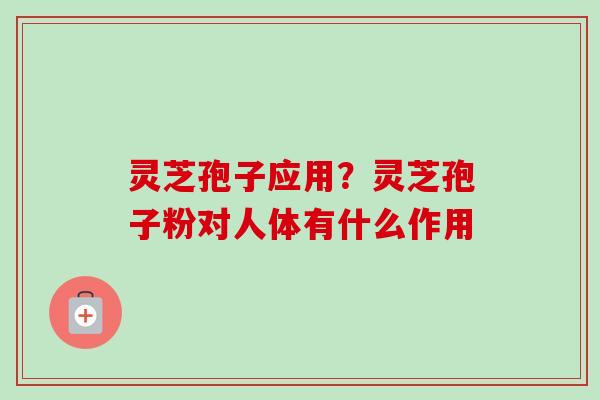 灵芝孢子应用?灵芝孢子粉对人体有什么作用 灵芝孢子应用?灵芝孢子粉对人体有什么作用