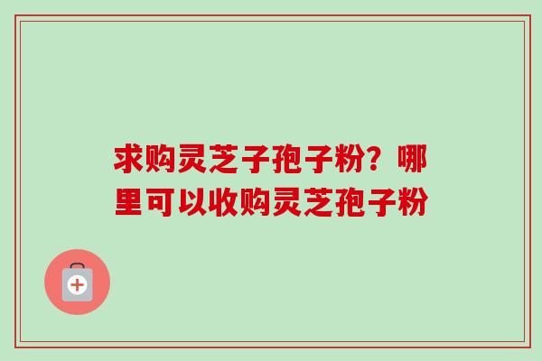求购灵芝子孢子粉?哪里可以收购灵芝孢子粉 求购灵芝子孢子粉?哪里可以收购灵芝孢子粉