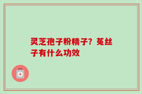 灵芝孢子粉精子?菟丝子有什么功效 灵芝孢子粉精子?菟丝子有什么功效