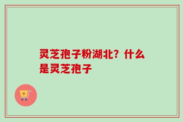 灵芝孢子粉湖北？什么是灵芝孢子