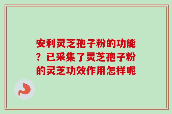 安利灵芝孢子粉的功能?已采集了灵芝孢子粉的灵芝功效作用怎样呢 安利灵芝孢子粉的功能?已采集了灵芝孢子粉的灵芝功效作用怎样呢