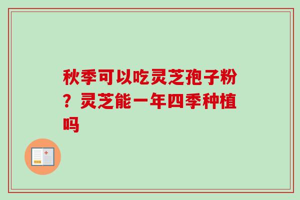 秋季可以吃灵芝孢子粉?灵芝能一年四季种植吗 秋季可以吃灵芝孢子粉?灵芝能一年四季种植吗