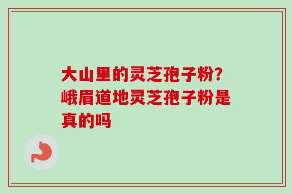 大山里的灵芝孢子粉?峨眉道地灵芝孢子粉是真的吗 大山里的灵芝孢子粉?峨眉道地灵芝孢子粉是真的吗