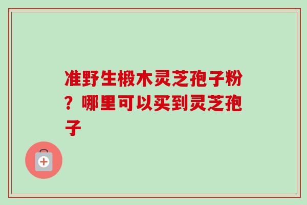 准野生椴木灵芝孢子粉？哪里可以买到灵芝孢子