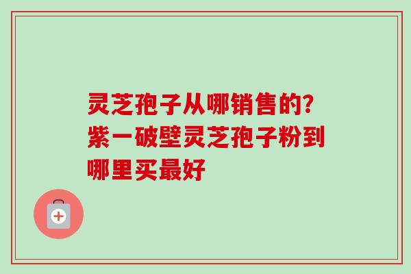 灵芝孢子从哪销售的？紫一破壁灵芝孢子粉到哪里买好