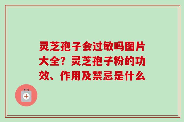 灵芝孢子会吗图片大全？灵芝孢子粉的功效、作用及禁忌是什么