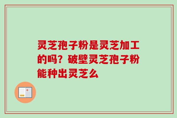 灵芝孢子粉是灵芝加工的吗?破壁灵芝孢子粉能种出灵芝么 灵芝孢子粉是灵芝加工的吗?破壁灵芝孢子粉能种出灵芝么
