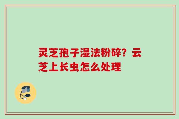 灵芝孢子湿法粉碎?云芝上长虫怎么处理 灵芝孢子湿法粉碎?云芝上长虫怎么处理